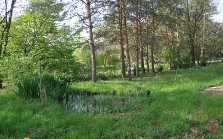 Túrázás és Gombászat